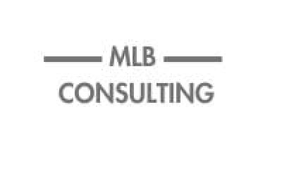 mlb-consulting